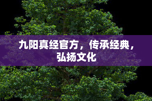 九阳真经官方，传承经典，弘扬文化
