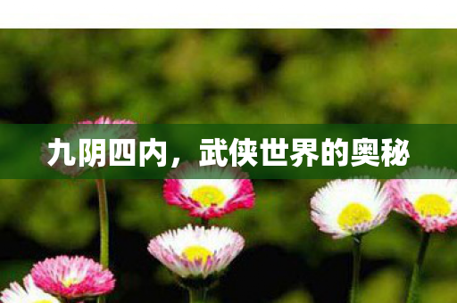 九阴四内，武侠世界的奥秘
