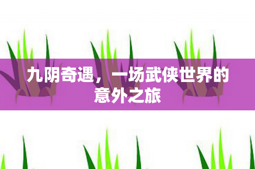 九阴奇遇，一场武侠世界的意外之旅