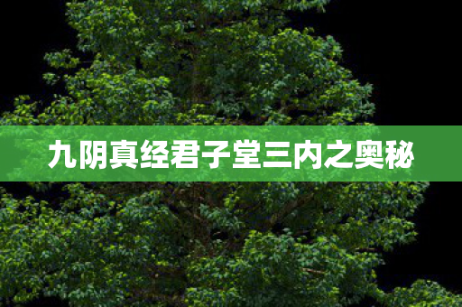 九阴真经君子堂三内之奥秘 九阴真经君子堂三内之奥秘