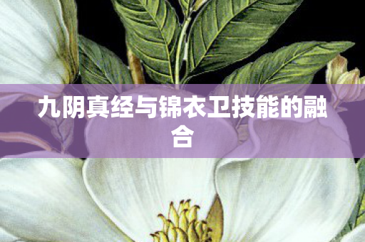 九阴真经与锦衣卫技能的融合 九阴真经与锦衣卫技能的融合