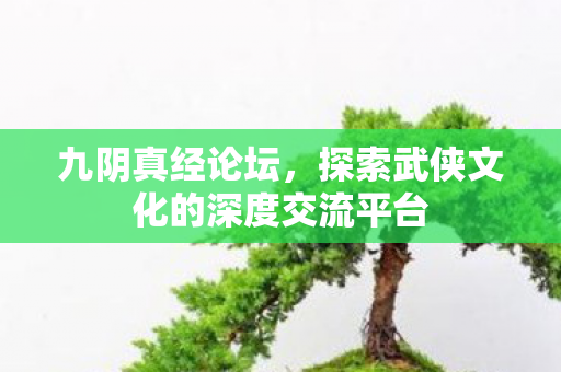 九阴真经论坛,探索武侠文化的深度交流平台 九阴真经论坛,探索武侠文化的深度交流平台