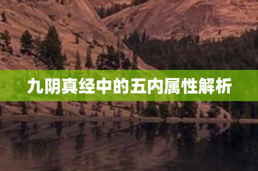九阴真经中的五内属性解析 九阴真经中的五内属性解析