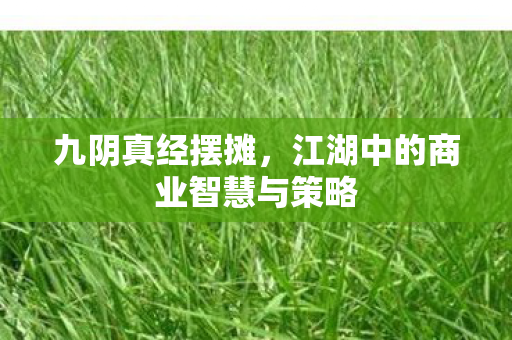 九阴真经摆摊，江湖中的商业智慧与策略