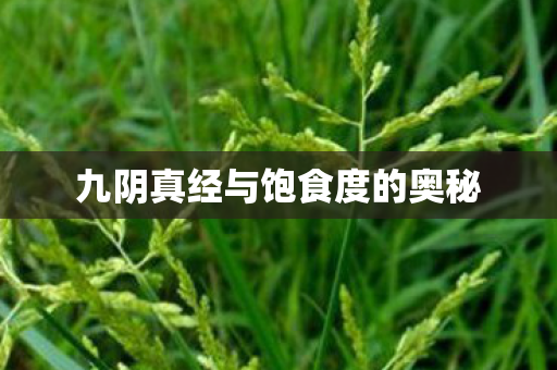 九阴真经与饱食度的奥秘