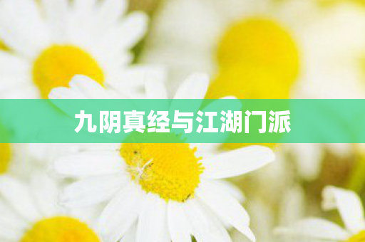 九阴真经与江湖门派 九阴真经与江湖门派