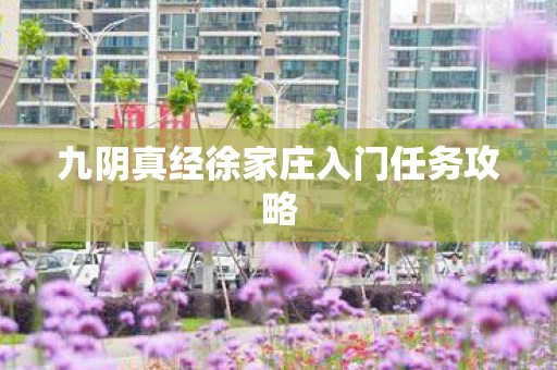九阴真经徐家庄入门任务攻略 九阴真经徐家庄入门任务攻略