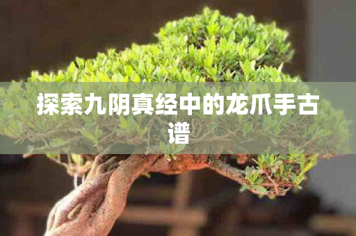 探索九阴真经中的龙爪手古谱