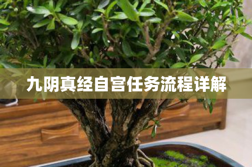 九阴真经自宫任务流程详解 九阴真经自宫任务流程详解