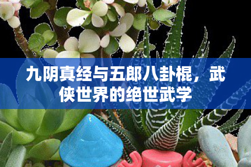 九阴真经与五郎八卦棍,武侠世界的绝世武学 九阴真经与五郎八卦棍,武侠世界的绝世武学