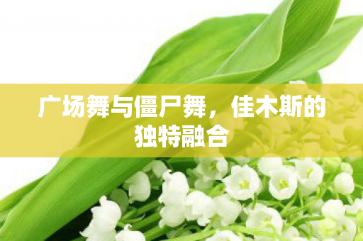 广场舞与僵尸舞,佳木斯的独特融合 广场舞与僵尸舞,佳木斯的独特融合