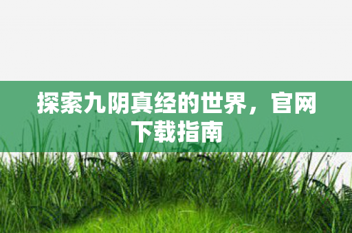 探索九阴真经的世界，官网下载指南