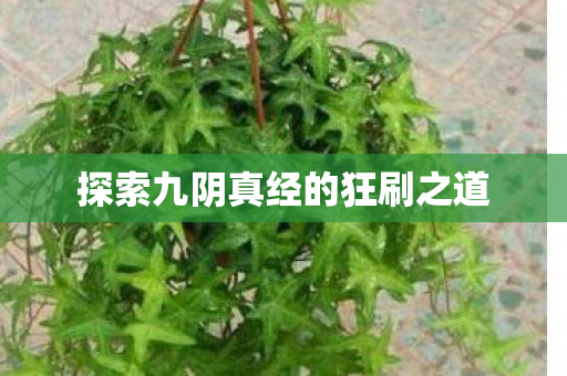 探索九阴真经的狂刷之道 探索九阴真经的狂刷之道