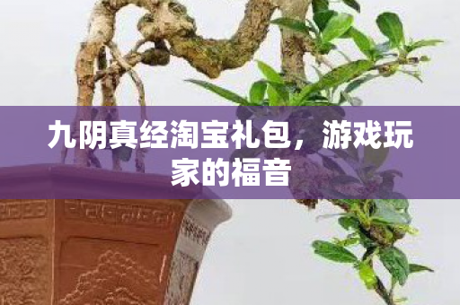 九阴真经淘宝礼包，游戏玩家的福音