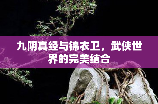 九阴真经与锦衣卫，武侠世界的完美结合