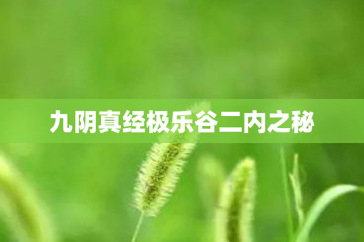 九阴真经极乐谷二内之秘 九阴真经极乐谷二内之秘