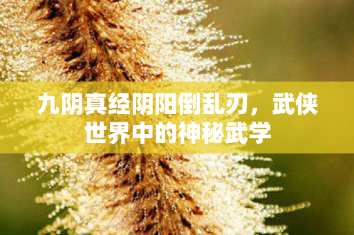 九阴真经阴阳倒乱刃,武侠世界中的神秘武学 九阴真经阴阳倒乱刃,武侠世界中的神秘武学