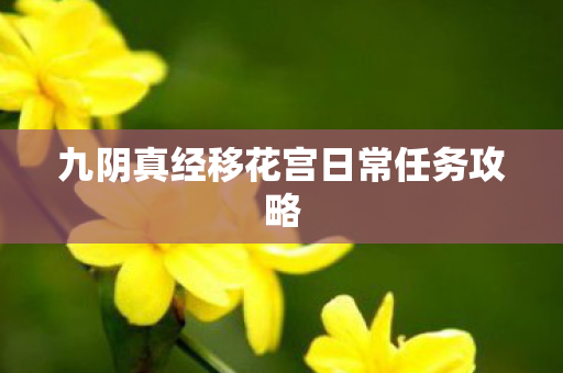 九阴真经移花宫日常任务攻略