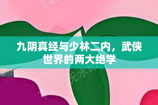 九阴真经与少林二内,武侠世界的两大绝学 九阴真经与少林二内,武侠世界的两大绝学