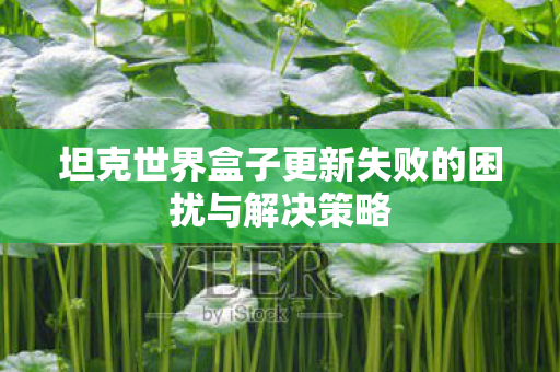 坦克世界盒子更新失败的困扰与解决策略