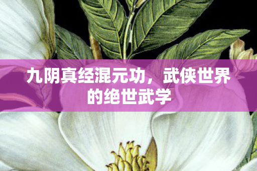 九阴真经混元功，武侠世界的绝世武学