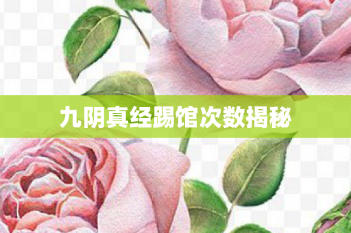 九阴真经踢馆次数揭秘 九阴真经踢馆次数揭秘