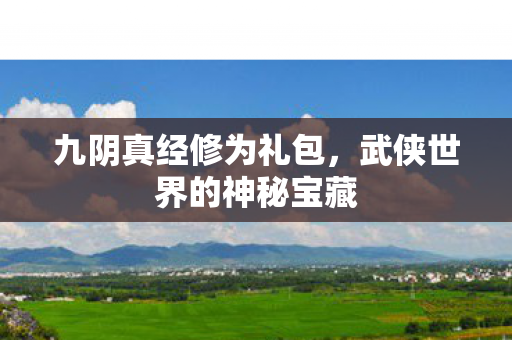 九阴真经修为礼包，武侠世界的神秘宝藏