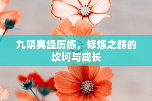 九阴真经历练,修炼之路的坎坷与成长 九阴真经历练,修炼之路的坎坷与成长