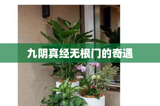 九阴真经无根门的奇遇 九阴真经无根门的奇遇