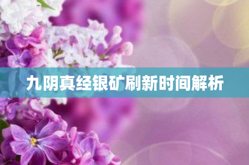 九阴真经银矿刷新时间解析