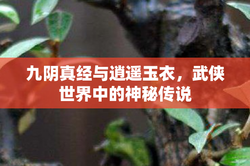 九阴真经与逍遥玉衣,武侠世界中的神秘传说 九阴真经与逍遥玉衣,武侠世界中的神秘传说