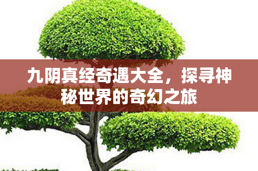 九阴真经奇遇大全，探寻神秘世界的奇幻之旅