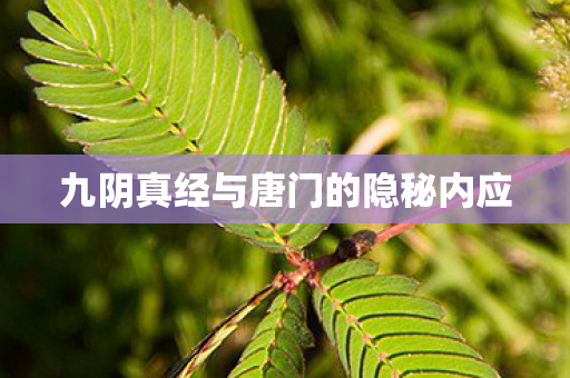 九阴真经与唐门的隐秘内应 九阴真经与唐门的隐秘内应