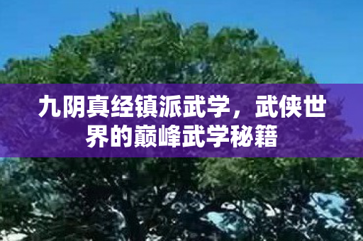 九阴真经镇派武学,武侠世界的巅峰武学秘籍 九阴真经镇派武学,武侠世界的巅峰武学秘籍