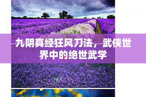 九阴真经狂风刀法，武侠世界中的绝世武学