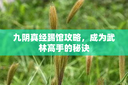 九阴真经踢馆攻略,成为武林高手的秘诀 九阴真经踢馆攻略,成为武林高手的秘诀