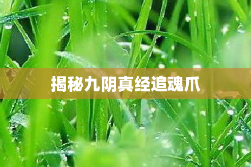 揭秘九阴真经追魂爪