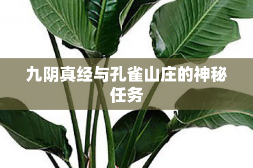 九阴真经与孔雀山庄的神秘任务 九阴真经与孔雀山庄的神秘任务