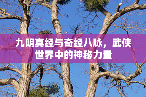 九阴真经与奇经八脉，武侠世界中的神秘力量