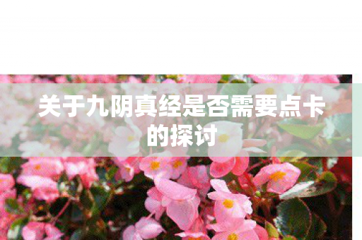 关于九阴真经是否需要点卡的探讨