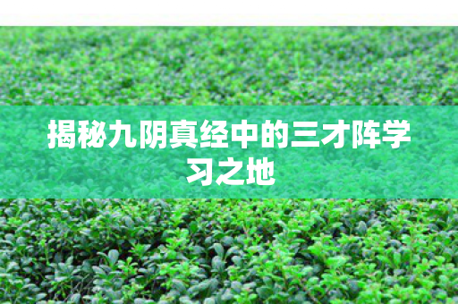 揭秘九阴真经中的三才阵学习之地