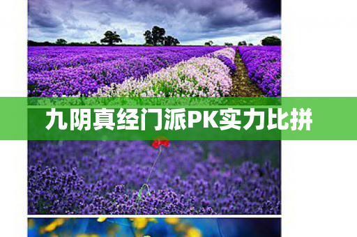 九阴真经门派PK实力比拼