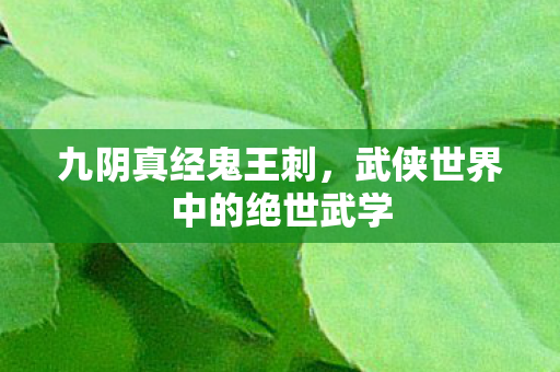 九阴真经鬼王刺，武侠世界中的绝世武学