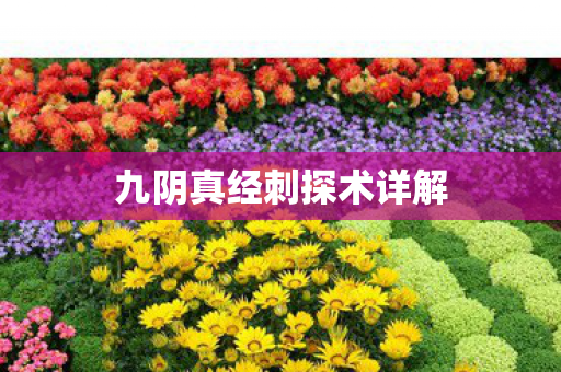 九阴真经刺探术详解