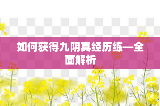 如何获得九阴真经历练—全面解析