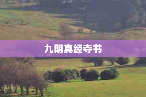 九阴真经夺书 九阴真经夺书