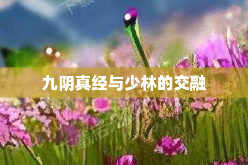 九阴真经与少林的交融 九阴真经与少林的交融