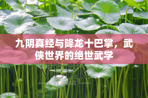 九阴真经与降龙十巴掌,武侠世界的绝世武学 九阴真经与降龙十巴掌,武侠世界的绝世武学