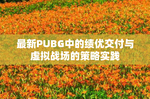 最新PUBG中的绩优交付与虚拟战场的策略实践