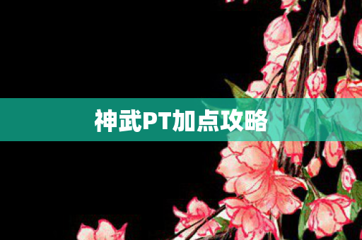 神武PT加点攻略 神武PT加点攻略
